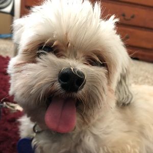 Meet your Posher, Melody